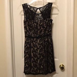 Fit and flare lace dress